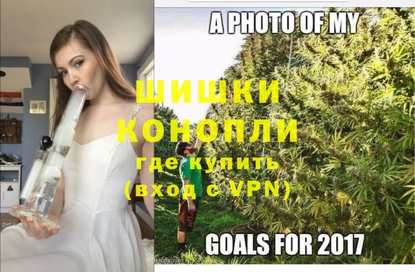 гидропоника Бородино