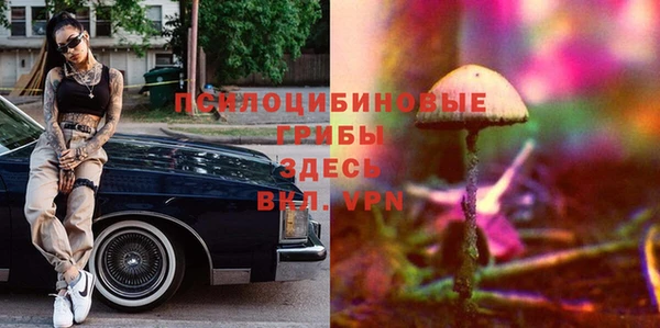 гидропоника Бородино